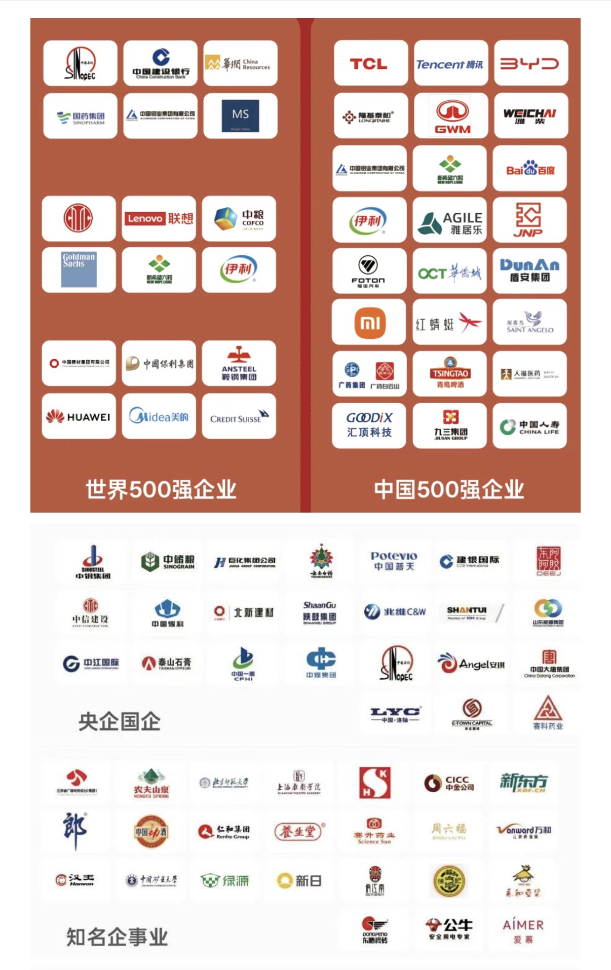 1773710075370787.jpg 12.jpg